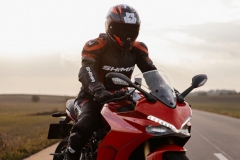 ducatis